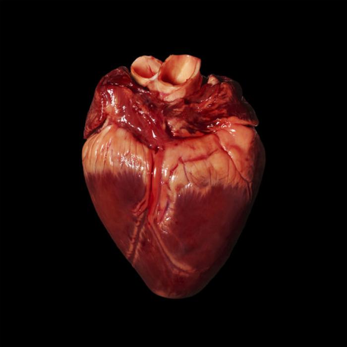Scientists believe they can grow human organs for transplant, but what are the ethical boundaries of such research and practice? Scientists believe they can grow human organs for transplant, but what are the ethical boundaries of such research and practice?