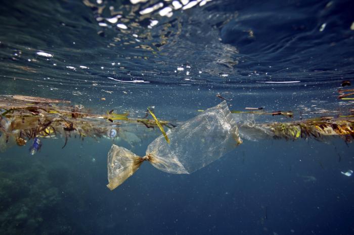 The ocean is filled with plastic, even in the most remote locations. 