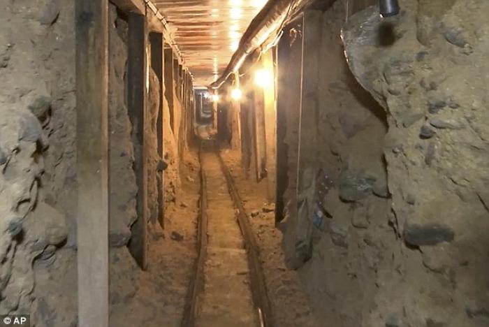 Tunnels can be quite large, such as this one that's tall enough to walk though upright. Tunnels can be quite large, such as this one that's tall enough to walk though upright.