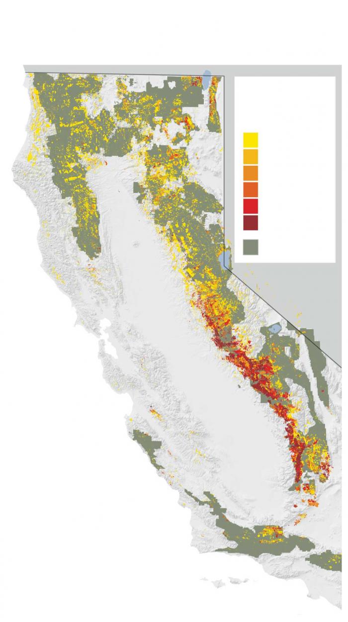 The number of dead trees per acre. And the dieoff continues as the beetles spread. 