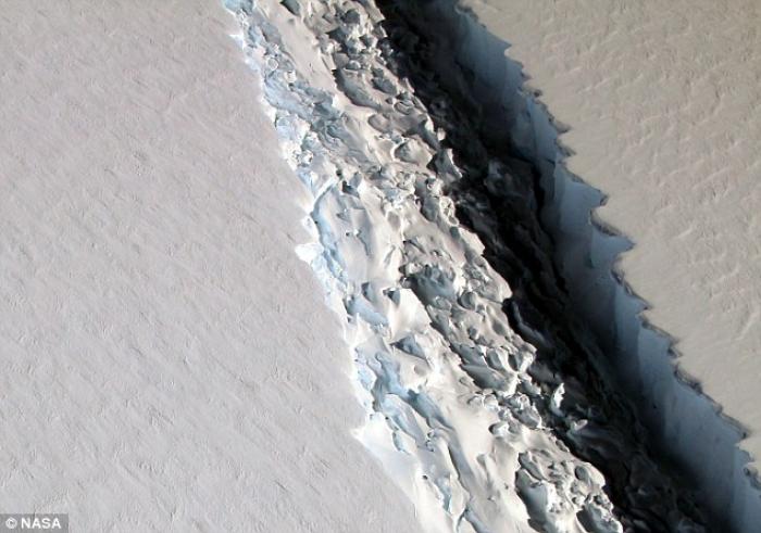 The crack in the ice shelf is growing rapidly. Scientists expect it will break apart within weeks. 