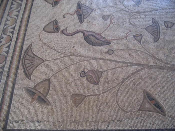 The famous floor mosaic of the church dates back tot he 5th century. The famous floor mosaic of the church dates back tot he 5th century.