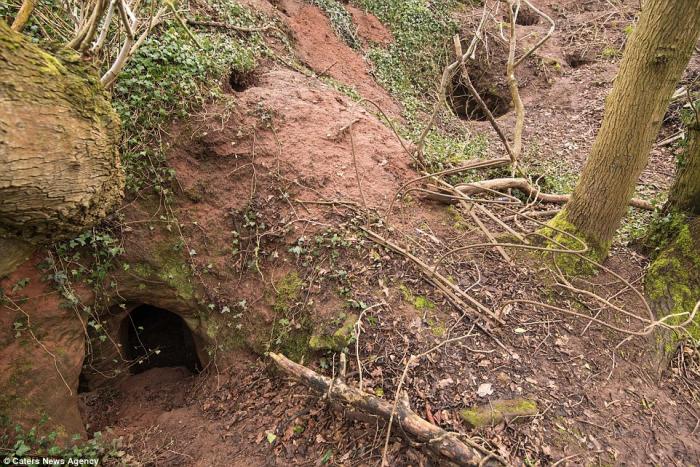 The Templar caves are hidden underground and the entrances are little more than rabbit holes, easy to miss. 