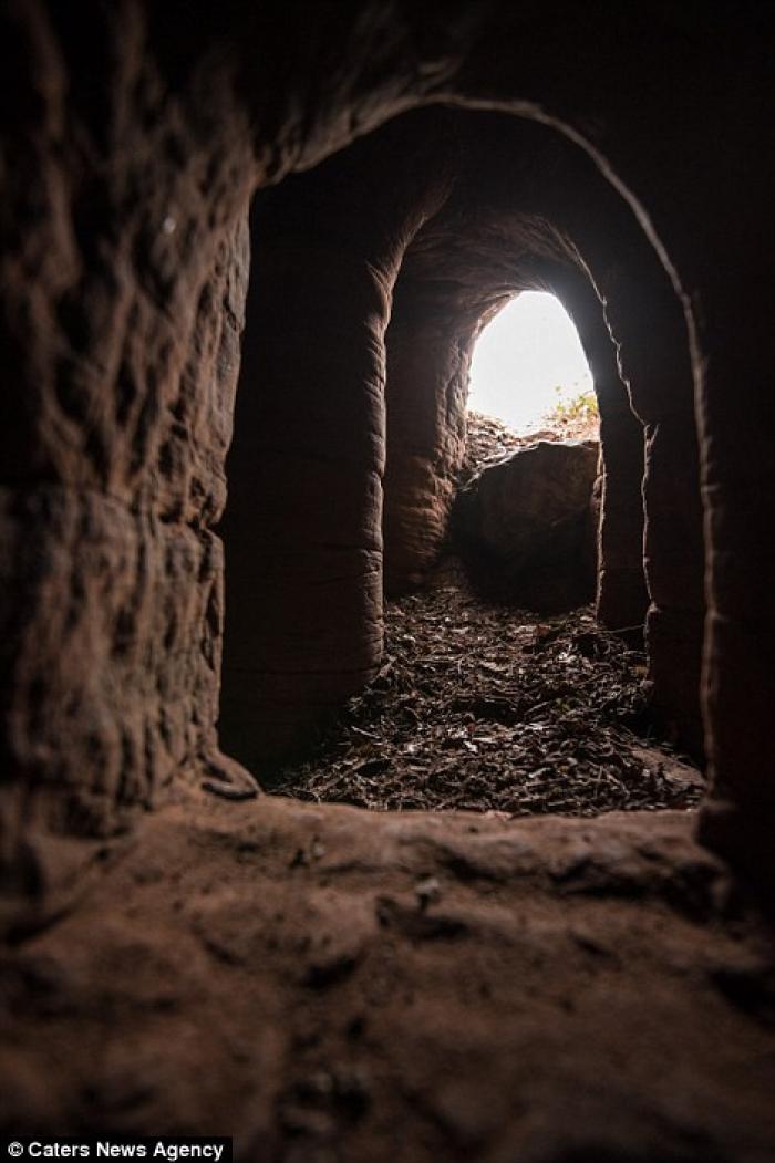 Inside the rabbit hole entrance, small openings allow sunlight to illuminate the cave. 