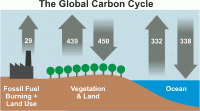 Global carbon cycle. Numbers represent flux of carbon dioxide in gigatons (Source: Figure 7.3, IPCC AR4, via Skeptical Science).