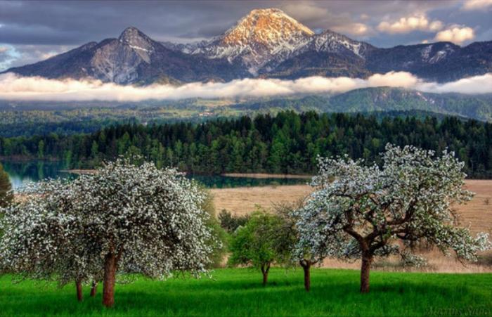 Evidence of God's existence can be seen in every aspect of nature. Evidence of God's existence can be seen in every aspect of nature.