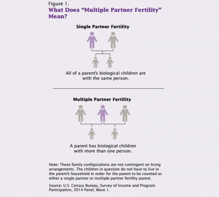 Multiple Partner Fertility.