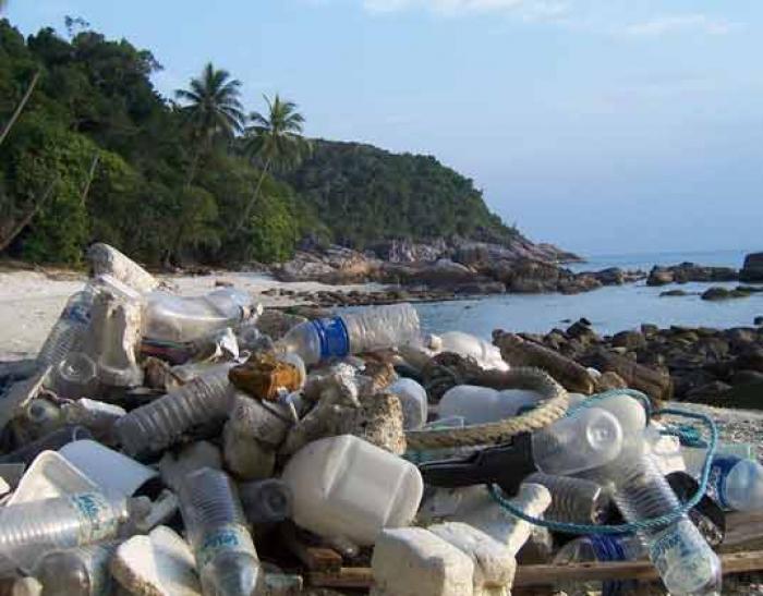 Plastic bottles piled on the beach. These are just a fraction that of the bottles that end up in the ocean from one beach, in the course of a day. Globally, the situation has reached crisis levels. 