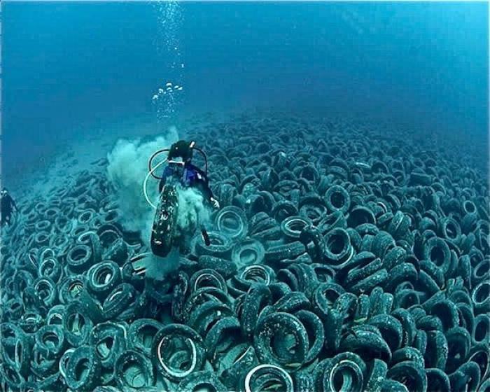 Tires dumped into the ocean release toxins into the water than can poison the environment. 