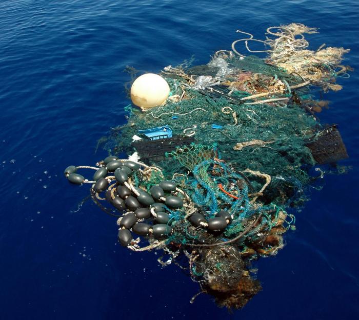 Netting and other flotsam lures birds and other wildlife into a trap from which few can escape. 