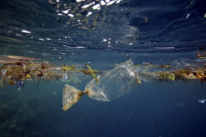 Plastic in the ocean confuses predators. A clear baggie looks like a tasty jellyfish to a turtle. 