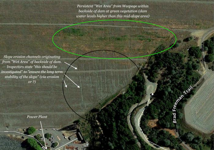 Fig 2. Greening Wet Area, with erosion channels, has been noted in CA Division of Safety of Dams (DSOD) in 2014/2015/2016 Safety Inspection reports. DWR is trying to understand the cause of this leakage. The Wet Area Greening has been more noticeable in the high reservoir levels in 2017. Image courtesy of Google Earth.