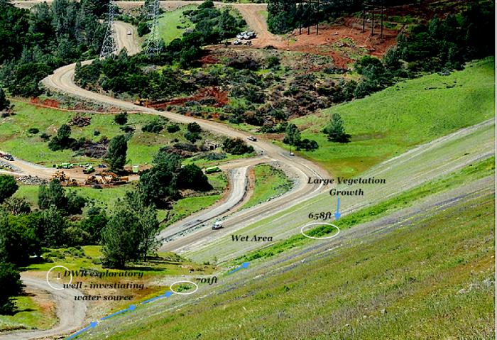 Fig 3. An internal dam Seepage source of water is resulting in Large Vegetation Growth (image from April 2017). DWR has drilled an exploratory well in 2016 to try to understand this serious risk issue. Image courtesy of DWR.