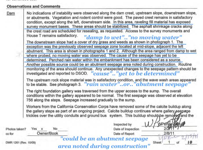 Fig 2. Feb 2011 DSOD Inspection Report - Engineers seeking to understand the cause of the Green Area Leakage - Suggest a source of percolating & surfacing 'rain water' or 'a possible abutment seepage source (spring)'