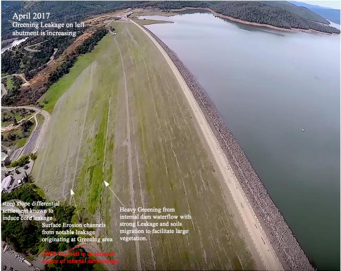 Fig 2. Heavy Greening and Leakage in 2017 from internal 'differential settlement' defects allowing lake flow to migrate through core. Unknown total flow rate and extent of internal uncertainties to the bottom 'honeycombed' subsurface structure 'erosion channels' infers a Zone 3 affected stability 'unknown'. Soils are 'transported' to the Green Wet area contained within the seepage flow 'through' the silts, clays, clayey soils of the core region of the dam & extended outward over time just as this same mechanism 'clogged' the drain zone with these soils.