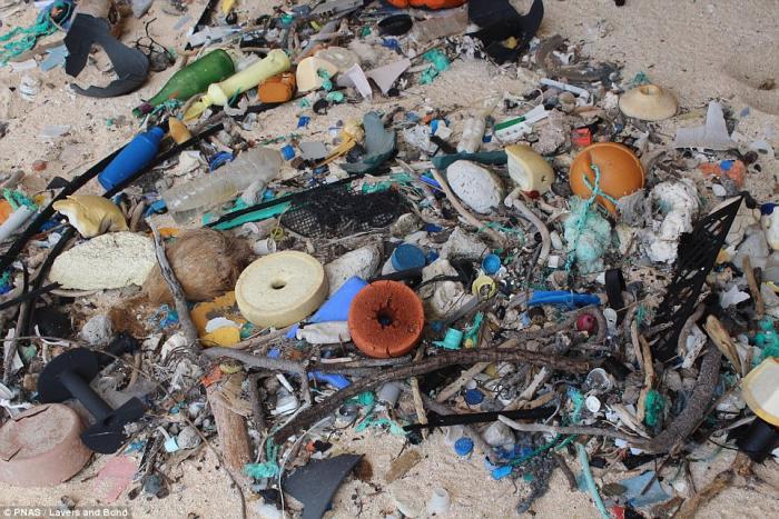 Henderson Island is covered in plastic debris. Henderson Island is covered in plastic debris.