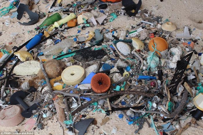 Henderson Island is covered in plastic debris.