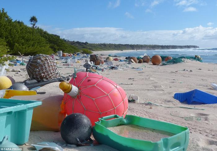 Plastic junk covers the surface of Henderson Island.