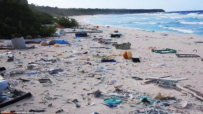 Plastic covering Henderson Island's shores