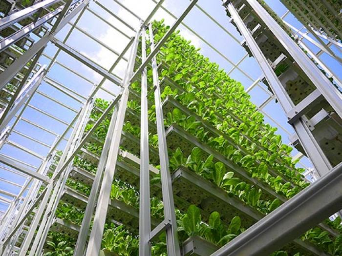 Skygreens, a vertical farm in Singapore already outproduces conventional farms by a factor between five to ten.