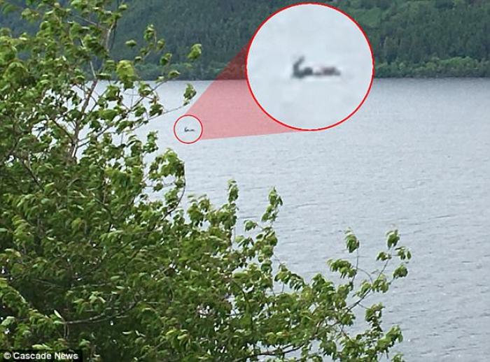 Some think it is the Loch Ness Monster, and others a tree. If it's a tree, then why did it sink into the water? There are no answers, only questions. 