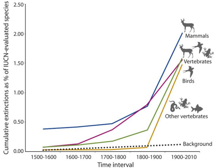 The extinction rate for vertebrates is much higher than the natural background rate, and does not seem to be improving. 