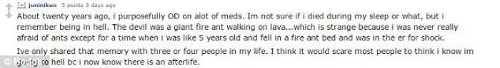 This person fears they saw a vision of hell with Satan walking on lava like a fire ant, and is now convinced they're going to hell. 