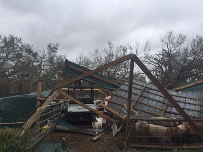 The Butts Family farm after Hurricane Harvey The Butts Family farm after Hurricane Harvey