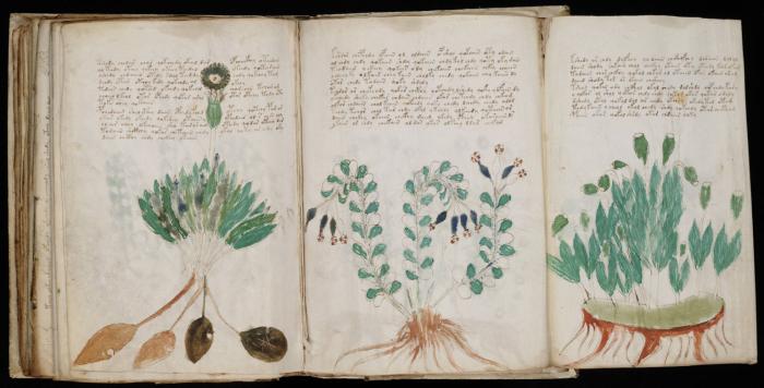 With a solution in mind, other experts on Latin may be able to decipher the strange characters on the pages. With a solution in mind, other experts on Latin may be able to decipher the strange characters on the pages.