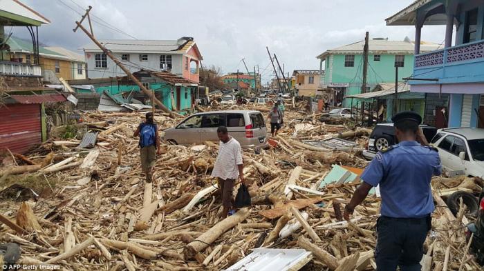 Trees were stripped of bark, then broken into pieces by Maria's winds. Floods carried the pieces into streets, forming a natural roadblock. 