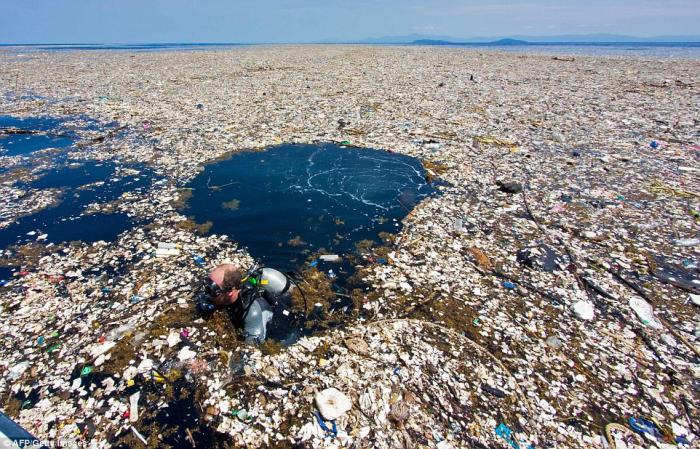 The garbage patches span for miles and are growing. 