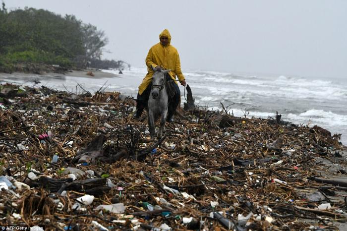 A man rides his horse on the beach, an experience marred by the incredible quantities of rubbish. A man rides his horse on the beach, an experience marred by the incredible quantities of rubbish.