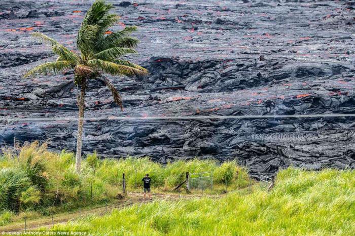 A man was captured standing dangerously close to the lava in shorts and flip-flops. 