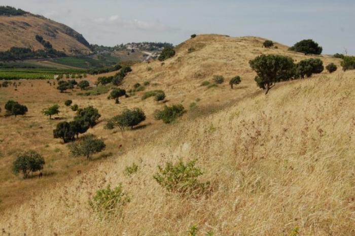 A view of Abel Beth Maacah. A view of Abel Beth Maacah.