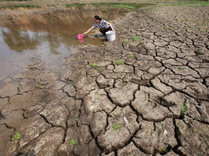 A villager walks through a parched paddy in Tianlin county, China in 2012. The report finds that cli A villager walks through a parched paddy in Tianlin county, China in 2012. The report finds that cli
