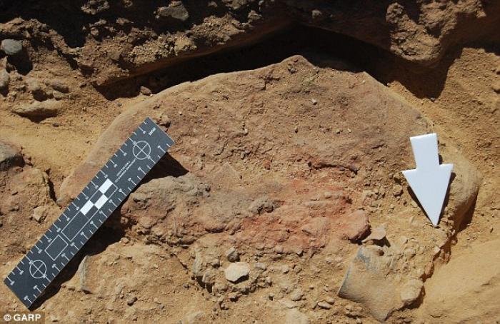 The archaeologists tracked down the ashes from the soldiers The archaeologists tracked down the ashes from the soldiers