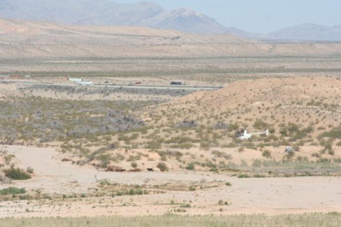 The Feds have come in force to evict one cattle rancher with his herd. The Feds have come in force to evict one cattle rancher with his herd.