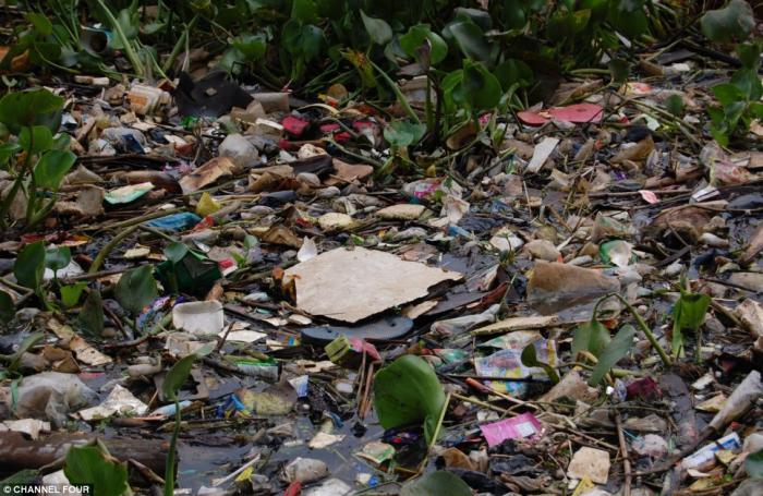 Clogged with household waste, toxic chemicals dumped by textile factories and dead animals, the rive Clogged with household waste, toxic chemicals dumped by textile factories and dead animals, the rive