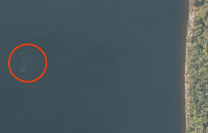 The photographs were captured by two different amateur Nessie hunters scanning different satellites The photographs were captured by two different amateur Nessie hunters scanning different satellites