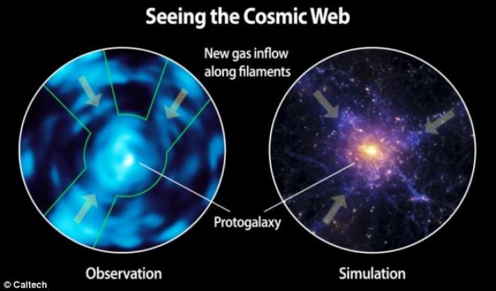 Dim matter has long been theorized, and now its existence has been proven. Dim matter has long been theorized, and now its existence has been proven.