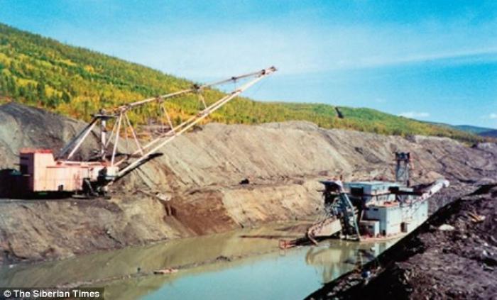 Miners admitted that their machinery (pictured), meant to identify gold, cast the find aside. Instea Miners admitted that their machinery (pictured), meant to identify gold, cast the find aside. Instea
