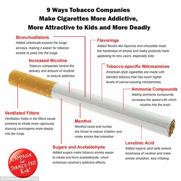 The Campaign for Tobacco-Free Kids has produced a revealing new infographic which explains how cigar The Campaign for Tobacco-Free Kids has produced a revealing new infographic which explains how cigar