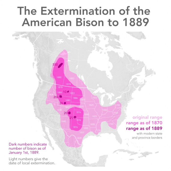 Where the buffalo roam... Native Americans plan return of free range