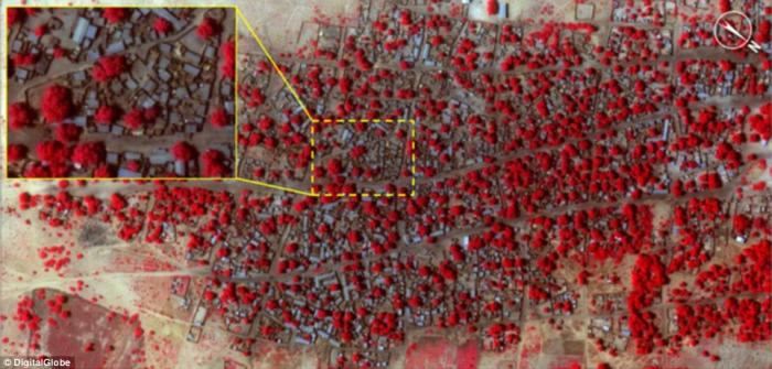 Satellite image of before Boko Haram attacked Baga Satellite image of before Boko Haram attacked Baga