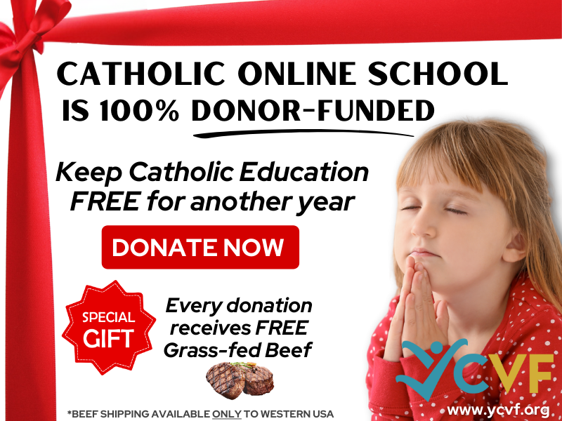 Help Keep Catholic Online School Free