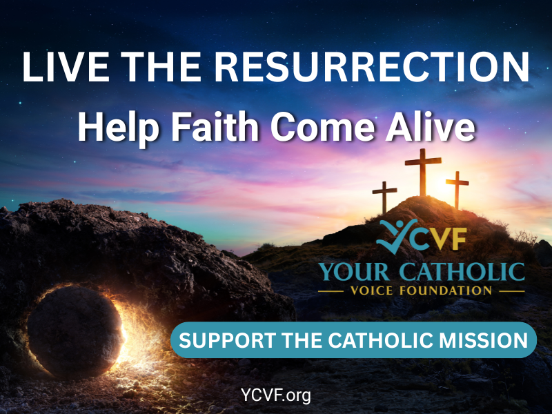 Help Keep Catholic Online School Free