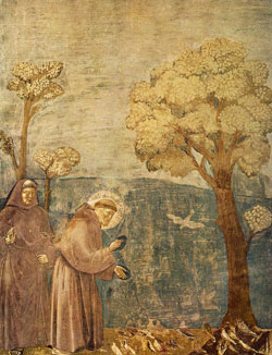 Image of St. William Firmatus Image of St. William Firmatus