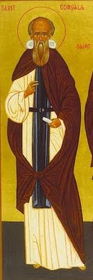 Image of St. Comgall Image of St. Comgall