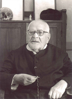 Image of St. Gaetano Catanoso Image of St. Gaetano Catanoso