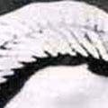 St. Bernadette Soubirous Image of St. Bernadette Soubirous